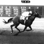 Dominant at Del Mar: Bill Shoemaker’s Greatest Summer