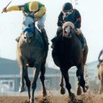 Silver Charm: As Tenacious as They Come