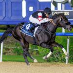 Six Speed Cruises in UAE Two Thousand Guineas, Takes Big Step Toward Kentucky Derby
