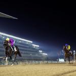 2026 United Arab Emirates Derby at a Glance