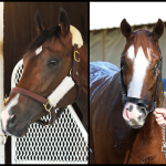 SLIDESHOW: Meet the 2019 Kentucky Derby Contenders