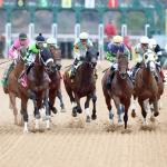 2026 Southwest Stakes at a Glance
