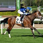 Betting an Accomplished Turf Horse in 2026 Jeff Ruby Steaks