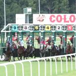 2025 Secretariat Stakes at a Glance