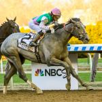 Looking Ahead: Field for 2019 Belmont Stakes Taking Shape