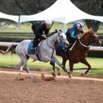 Betting a 20-1 Longshot in the 2026 Arkansas Derby