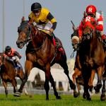 Road to the 2017 Breeders’ Cup: Three Heating Up, Three Cooling Down