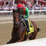 First Edition of Rookie Rankings for 2027 Kentucky Derby Prospects