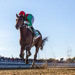 Rookie Rankings for 2027 Kentucky Derby Prospects: Oct. 26 Edition