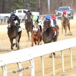 2026 Kentucky Derby Trail: Three Heating Up, Three Cooling Down for March 17