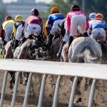 Profitable Betting Strategies for the 2026 Woodbine Oaks