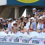Dan's Double: Woodbine Turf Picks