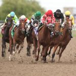 Betting a Powerful Finisher in a Speed-Packed Woodbine Oaks