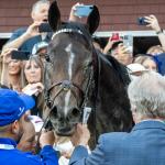 Sovereignty Stands Strong Atop Breeders' Cup Classic Power Rankings