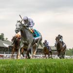 Banking on a Proven Grade 1 Winner in the Jaipur Stakes
