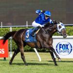 Think Big When Betting the 2025 Fourstardave Stakes
