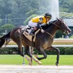 Betting Exactas and Trifectas in the 2025 Hopeful Stakes