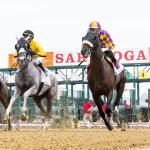ABR Sunday Selections: Full-Card Picks for August 3 at Saratoga