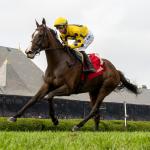 Weather a Key Factor in How to Bet the 2025 Flower Bowl Stakes