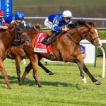 Euro Invader El Cordobes Wins Sword Dancer, Earns Spot in Breeders Cup Turf
