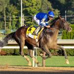 Sovereignty Remains on Top in New Breeders' Cup Power Rankings