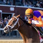 Making Money Betting Tommy Jo in 2025 Alcibiades Stakes