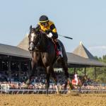 Counting Stars KO's Always a Runner in Heavyweight Rematch of Top 3-Year-Old Fillies