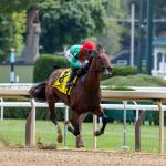 Rookie Rankings: Five 2-Year-Old Prospects to Watch From 2026 Saratoga Meet 