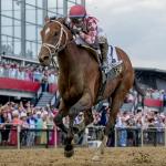 Preakness Winner Journalism to Remain in Training to Race in 2026