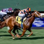 Queen Maxima a Formidable Favorite in Las Cienegas Stakes
