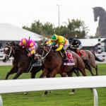 ABR Sunday Selections: Full-Card Picks for March 22 at Gulfstream Park