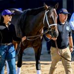 Award-Winning Turf Writers Predict the 2025 Breeders' Cup Classic Superfecta 