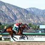 ABR Sunday Selections: Full-Card Picks for Sept. 27 at Santa Anita