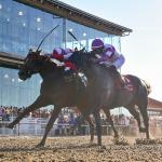 Louisiana Derby Win Propels Emerging Market in Latest Kentucky Derby Power Rankings