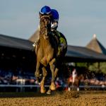 Sovereignty Cements Status Atop Breeders' Cup Classic Power Rankings With Travers Romp