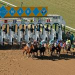 ABR Sunday Selections: Full-Card Picks for Nov. 30 at Del Mar