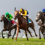 ABR Sunday Selections: Full-card Picks for March 15 at Gulfstream Park