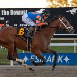 Renegade Had it Made with Big Derby Prep Win at Tampa Bay Downs