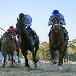 2026 Sam F. Davis Stakes at a Glance