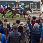 2019 Pennsylvania Derby at a Glance