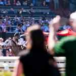 ABR Sunday Selections: Full-Card Picks for Opening Day at Santa Anita