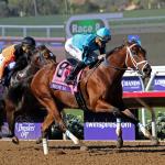 Nine Historical Tips to Help Bet the 2025 Breeders’ Cup Sprint