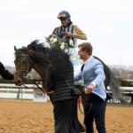 Equibase Rankings: Major Movement in Top 20 Earnings List