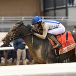 2026 Kentucky Derby Prospect Profiles: Wood Memorial Stakes Winner Albus 