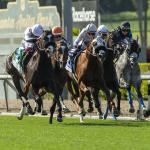2026 Shoemaker Mile Stakes at a Glance