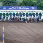McKinzie, Code of Honor Retain Top Spots in Breeders’ Cup Classic Rankings