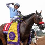 Two-Time Dirt Mile Winner Goldencents: A Star On and Off the Track