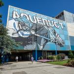 Making Money Betting a Florida Raider in the Wood Memorial Stakes