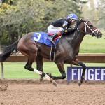 Betting on a Beast in the Remington Springboard Mile 