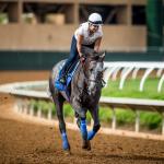 Making Money Betting Arrogate in the San Diego Handicap